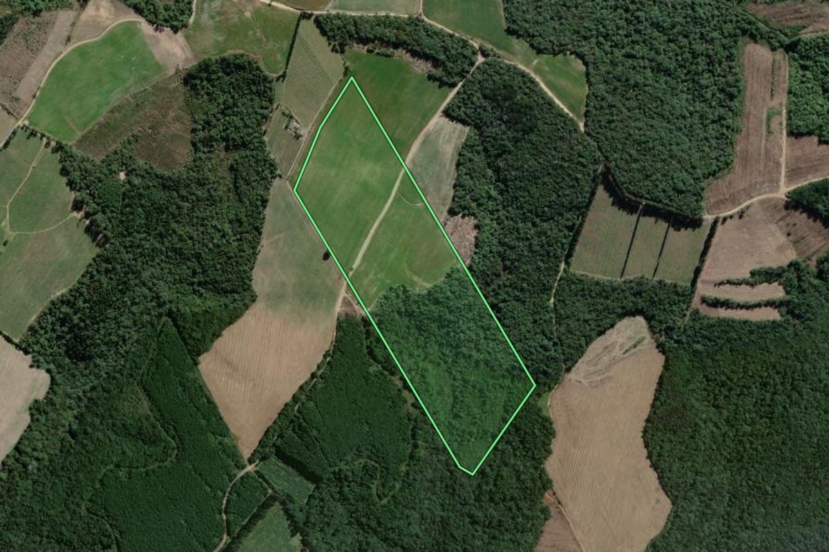 Imagem de satélite do imóvel rural em Antônio Olinto (PR), com o contorno declarado no CAR desenhado por cima.