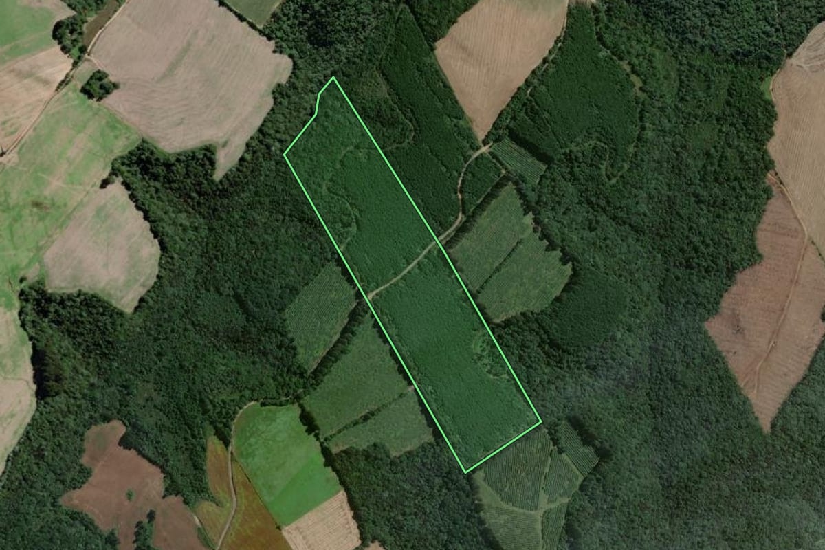 Imagem de satélite do imóvel rural em Antônio Olinto (PR), com o contorno declarado no CAR desenhado por cima.