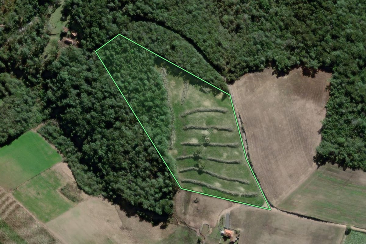 Imagem de satélite do imóvel rural em Antônio Olinto (PR), com o contorno declarado no CAR desenhado por cima.