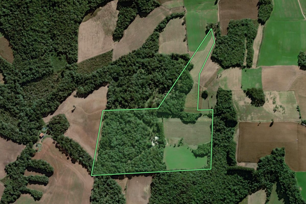 Imagem de satélite do imóvel rural em Antônio Olinto (PR), com o contorno declarado no CAR desenhado por cima.