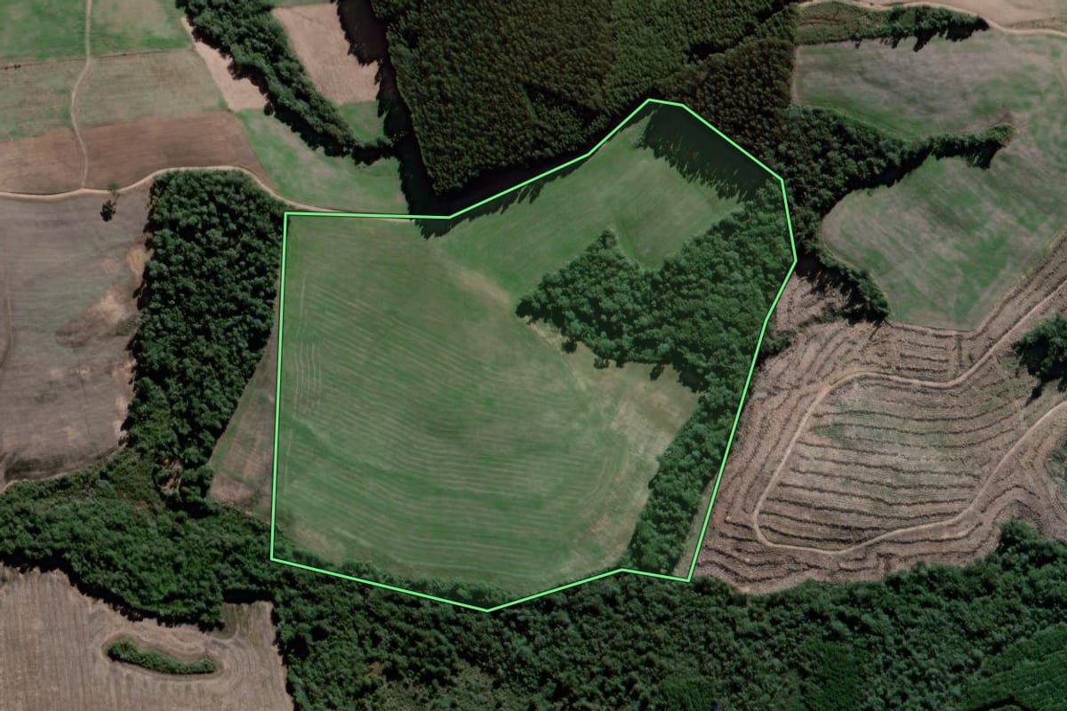 Imagem de satélite do imóvel rural em Antônio Olinto (PR), com o contorno declarado no CAR desenhado por cima.