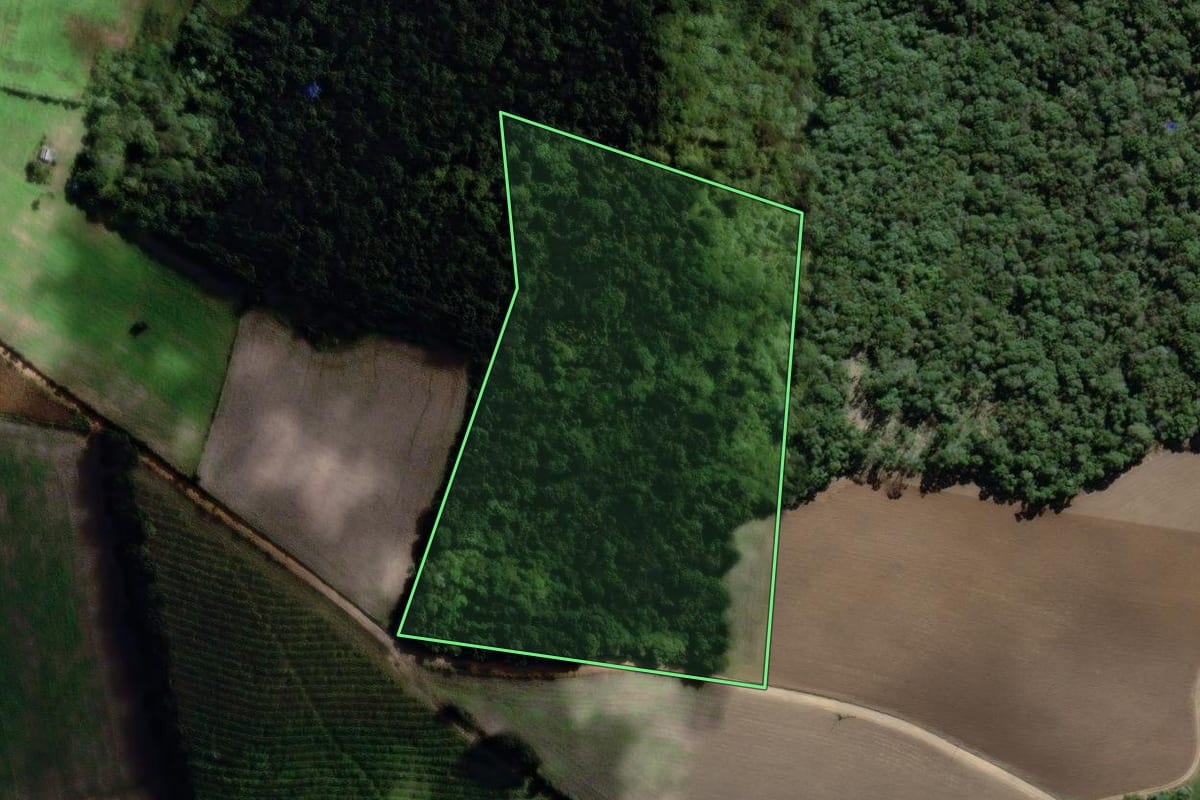 Imagem de satélite do imóvel rural em Antônio Olinto (PR), com o contorno declarado no CAR desenhado por cima.