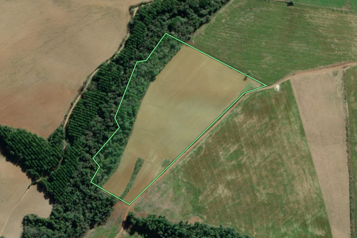 Imagem de satélite do imóvel rural em Antônio Olinto (PR), com o contorno declarado no CAR desenhado por cima.
