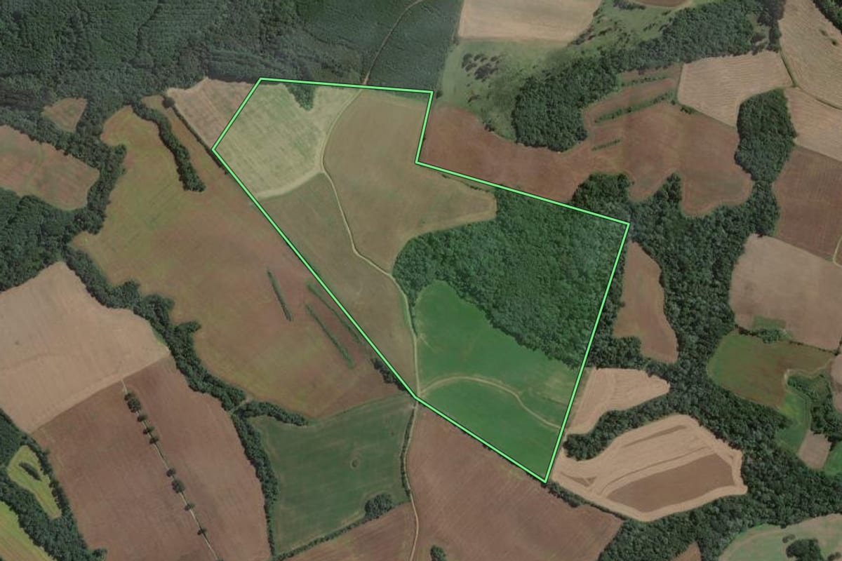 Imagem de satélite do imóvel rural em Antônio Olinto (PR), com o contorno declarado no CAR desenhado por cima.