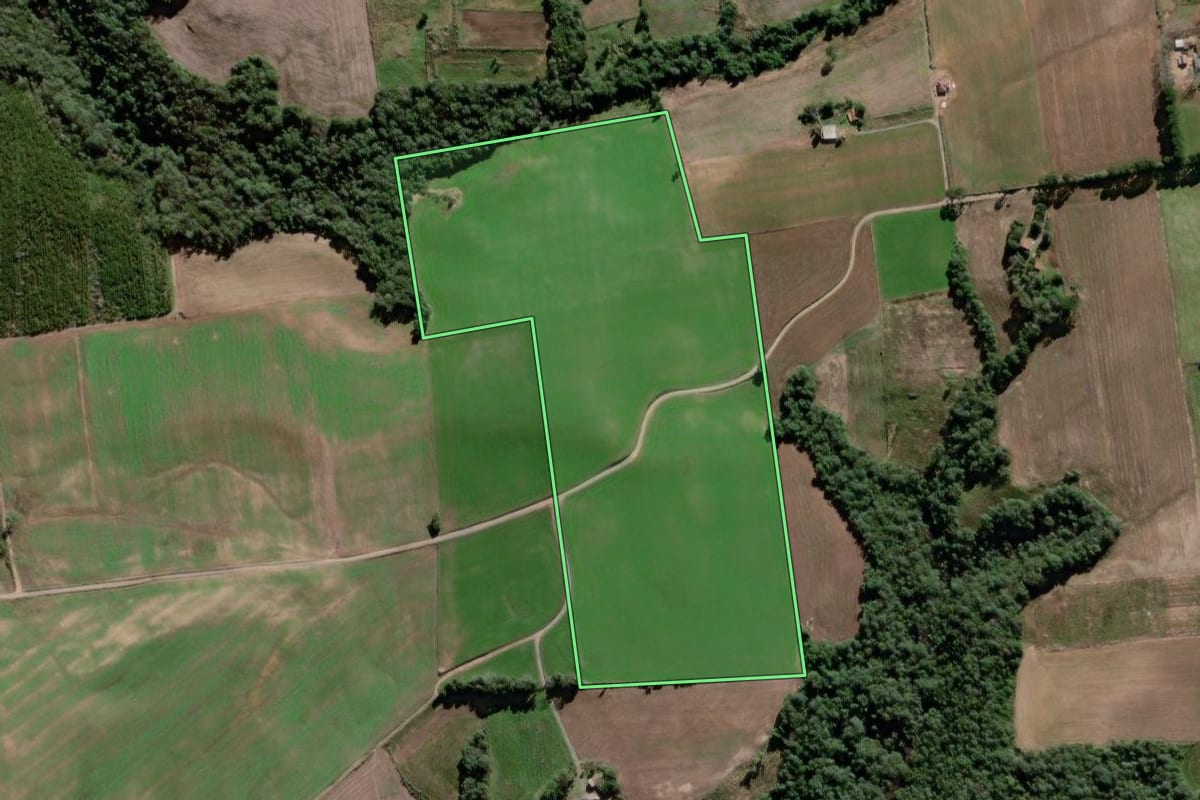 Imagem de satélite do imóvel rural em Antônio Olinto (PR), com o contorno declarado no CAR desenhado por cima.