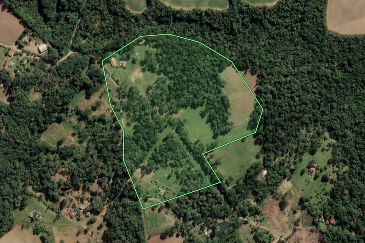 Imagem de satélite do imóvel rural em Antônio Olinto (PR), com o contorno declarado no CAR desenhado por cima.