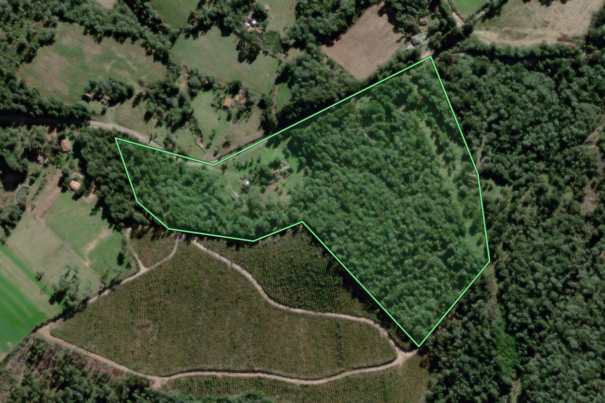 Imagem de satélite do imóvel rural em Antônio Olinto (PR), com o contorno declarado no CAR desenhado por cima.