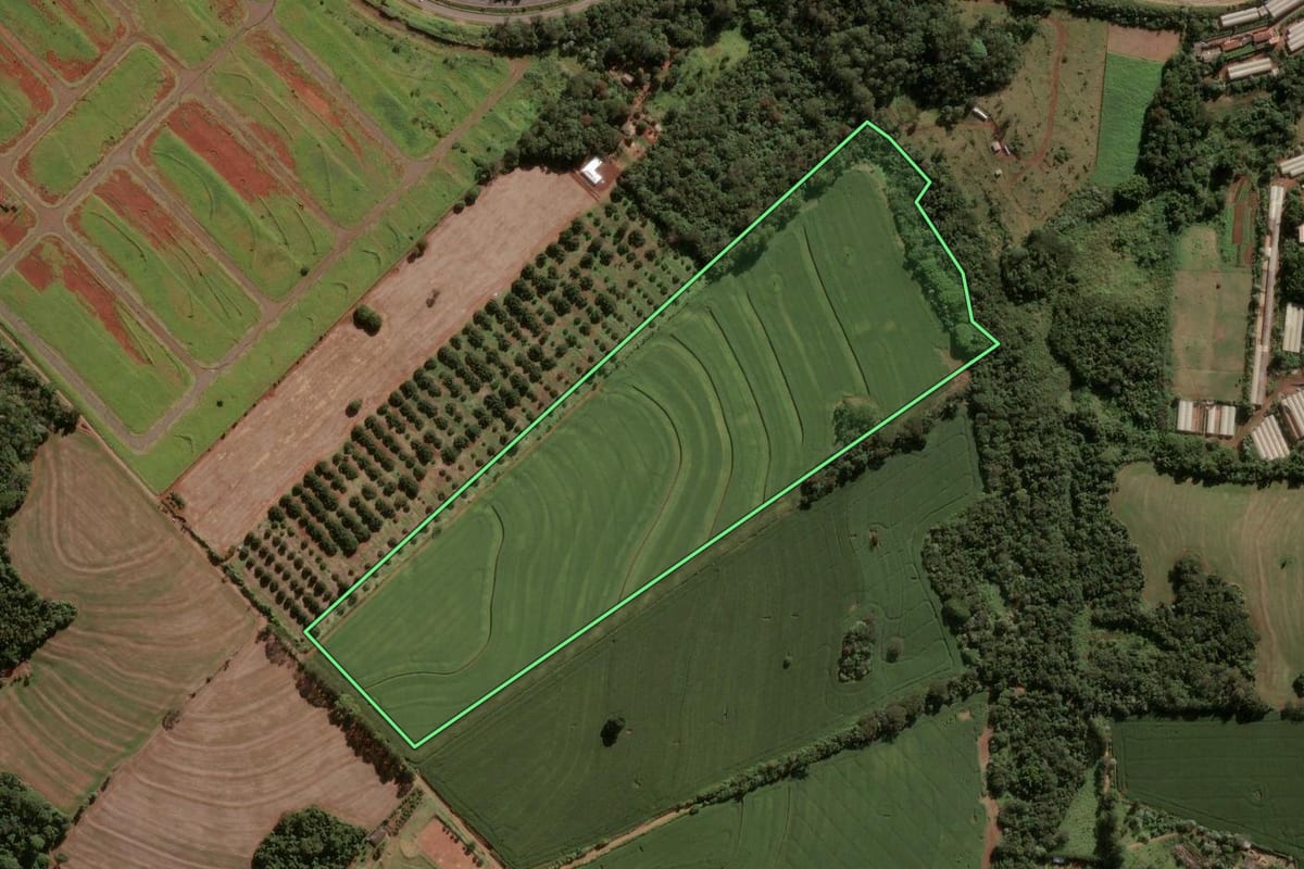 Imagem de satélite do imóvel rural em Apucarana (PR), com o contorno declarado no CAR desenhado por cima.