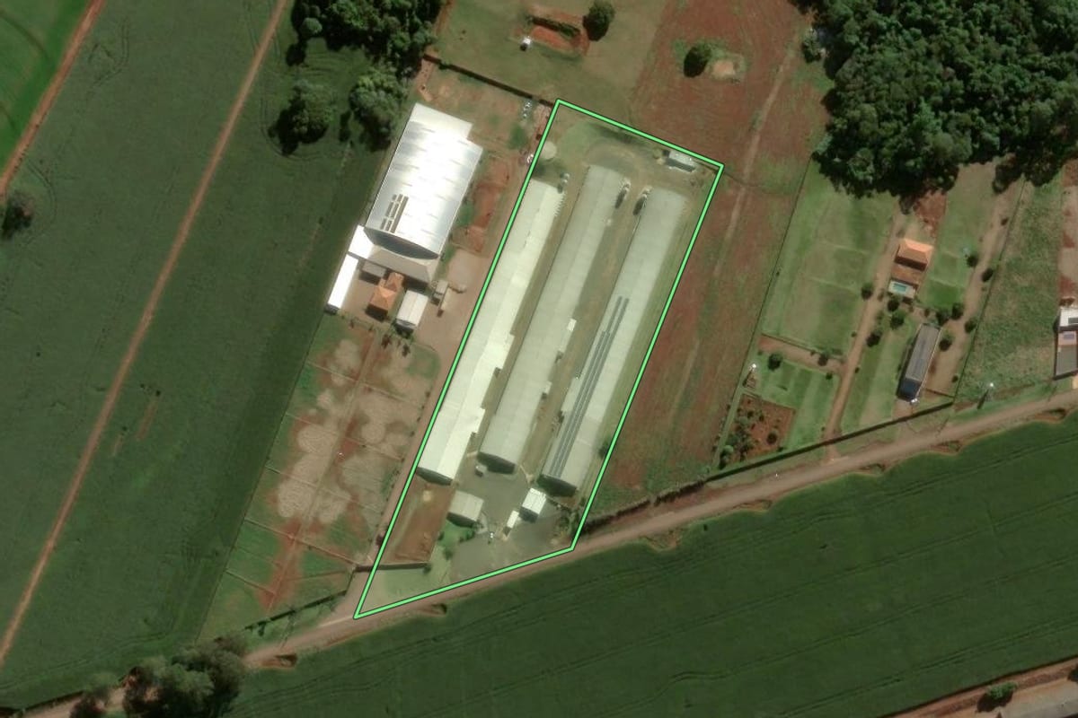 Imagem de satélite do imóvel rural em Apucarana (PR), com o contorno declarado no CAR desenhado por cima.