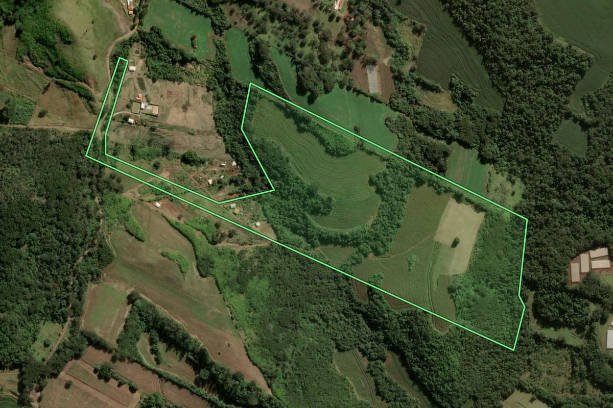 Imagem de satélite do imóvel rural em Apucarana (PR), com o contorno declarado no CAR desenhado por cima.