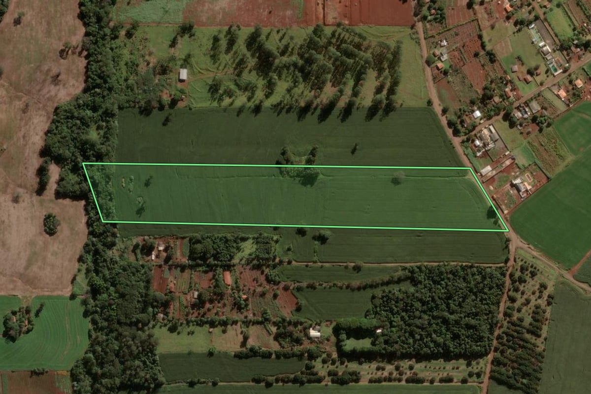 Imagem de satélite do imóvel rural em Apucarana (PR), com o contorno declarado no CAR desenhado por cima.