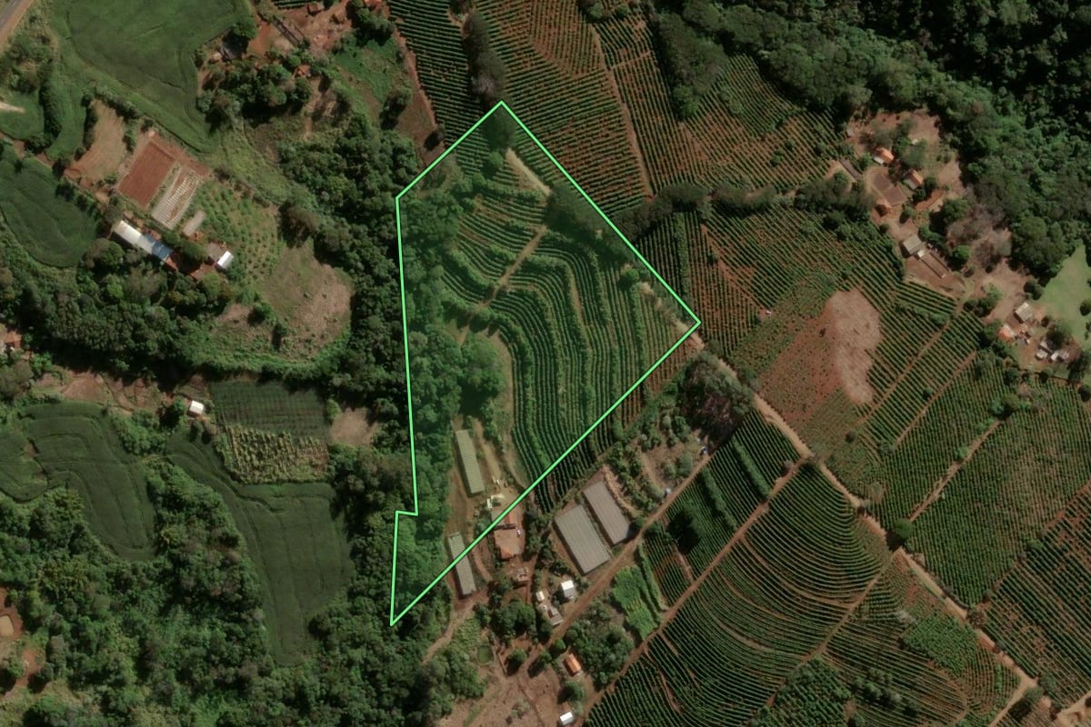 Imagem de satélite do imóvel rural em Apucarana (PR), com o contorno declarado no CAR desenhado por cima.