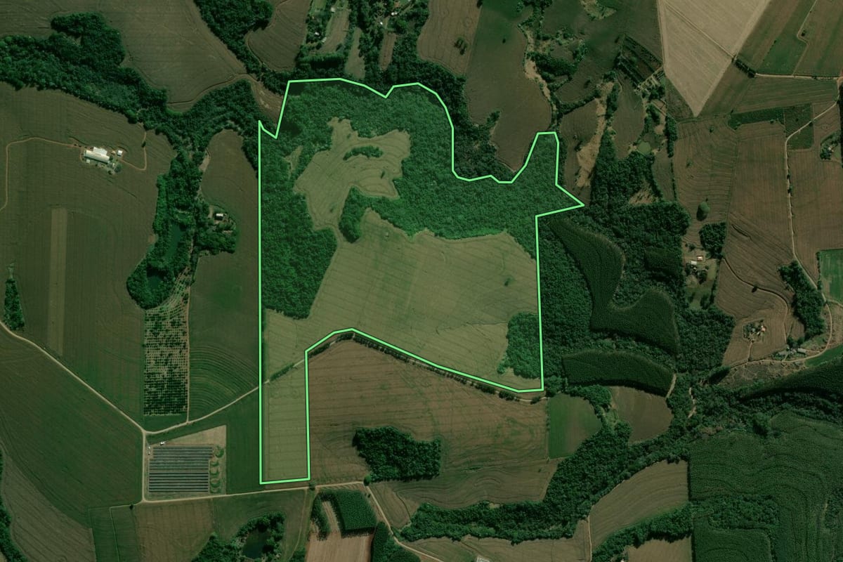 Imagem de satélite do imóvel rural em Apucarana (PR), com o contorno declarado no CAR desenhado por cima.