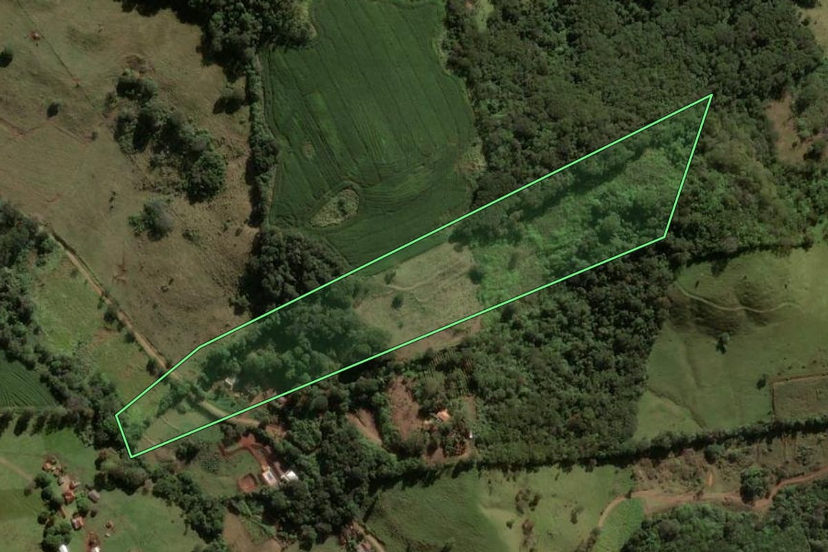 Imagem de satélite do imóvel rural em Apucarana (PR), com o contorno declarado no CAR desenhado por cima.