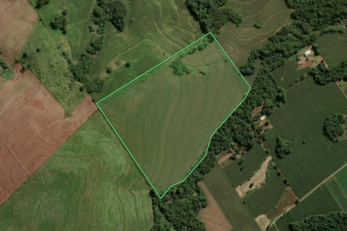Imagem de satélite do imóvel rural em Apucarana (PR), com o contorno declarado no CAR desenhado por cima.