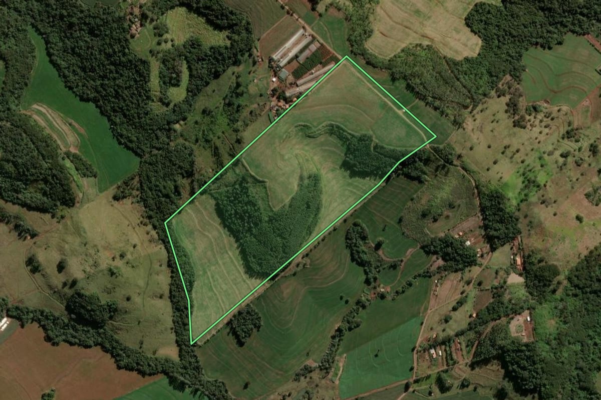 Imagem de satélite do imóvel rural em Apucarana (PR), com o contorno declarado no CAR desenhado por cima.