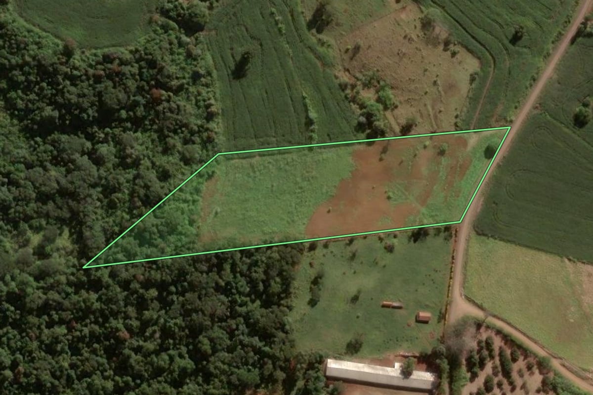 Imagem de satélite do imóvel rural em Apucarana (PR), com o contorno declarado no CAR desenhado por cima.