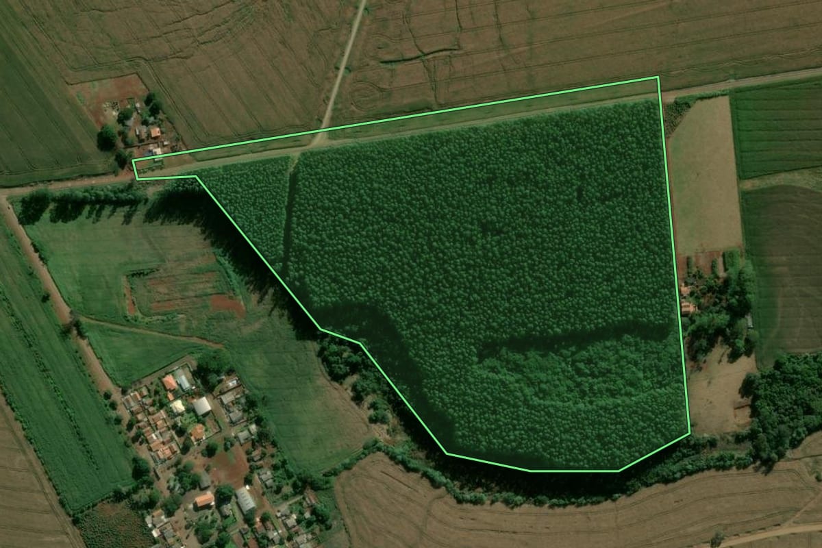 Imagem de satélite do imóvel rural em Apucarana (PR), com o contorno declarado no CAR desenhado por cima.