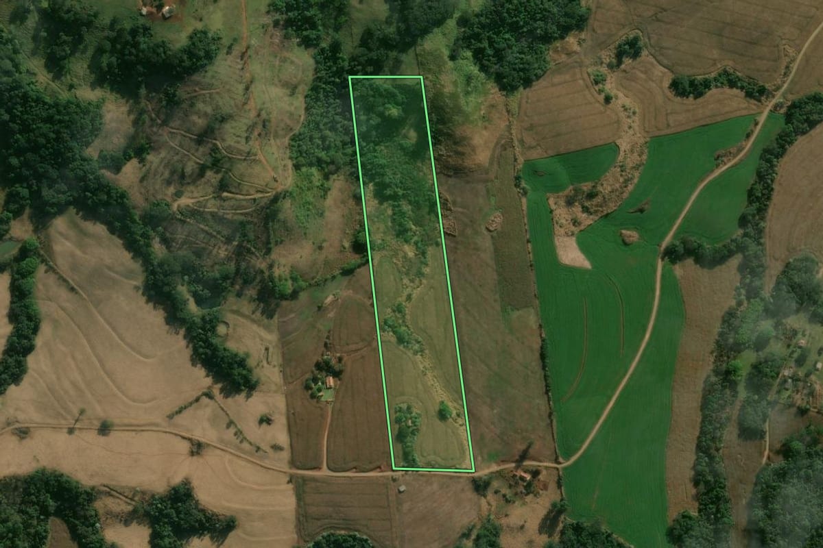 Imagem de satélite do imóvel rural em Apucarana (PR), com o contorno declarado no CAR desenhado por cima.