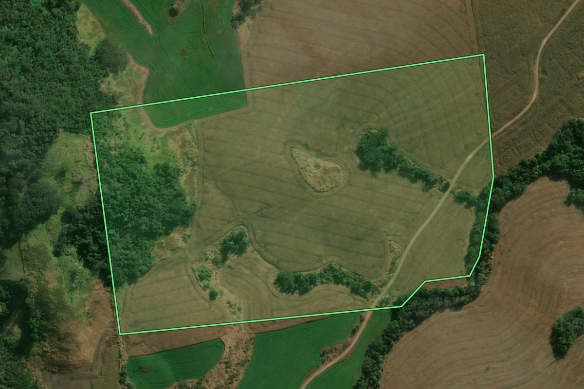 Imagem de satélite do imóvel rural em Apucarana (PR), com o contorno declarado no CAR desenhado por cima.