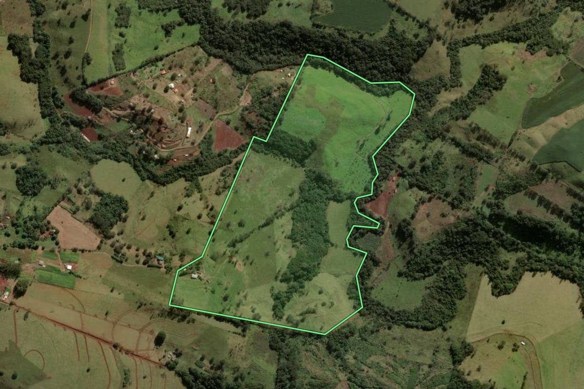 Imagem de satélite do imóvel rural em Apucarana (PR), com o contorno declarado no CAR desenhado por cima.