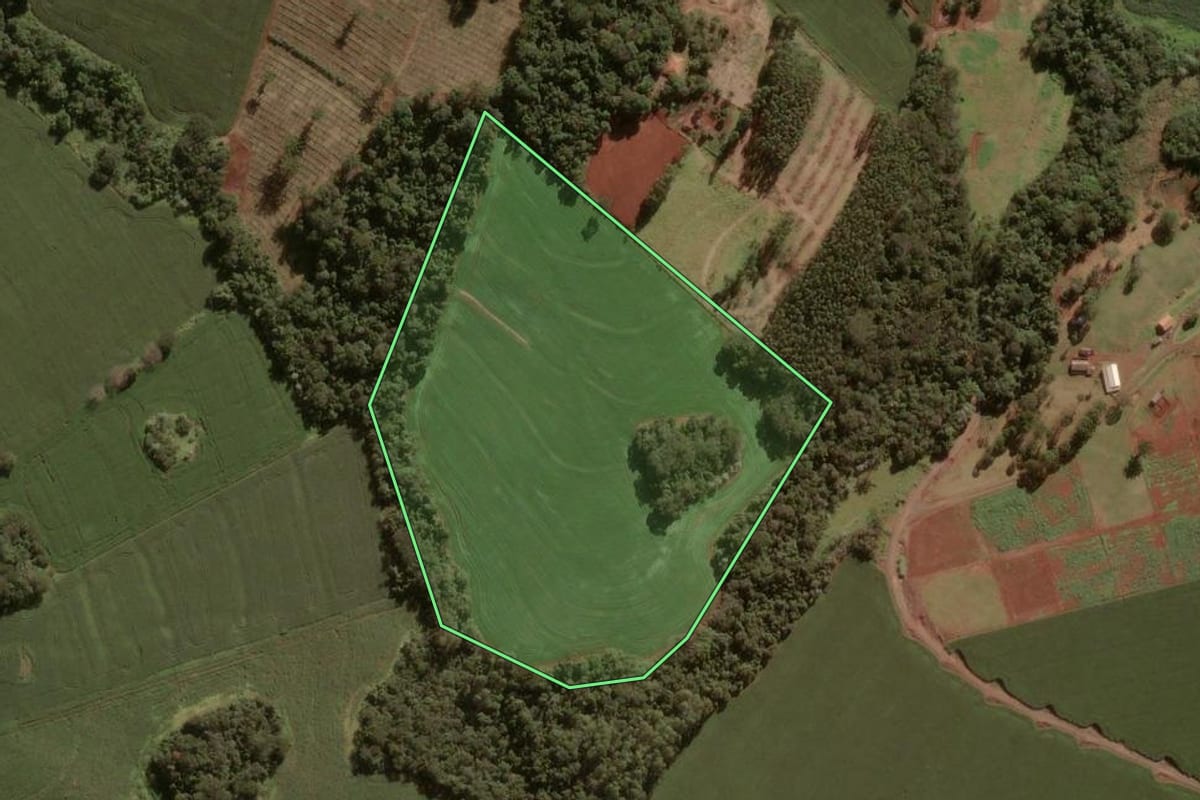 Imagem de satélite do imóvel rural em Apucarana (PR), com o contorno declarado no CAR desenhado por cima.