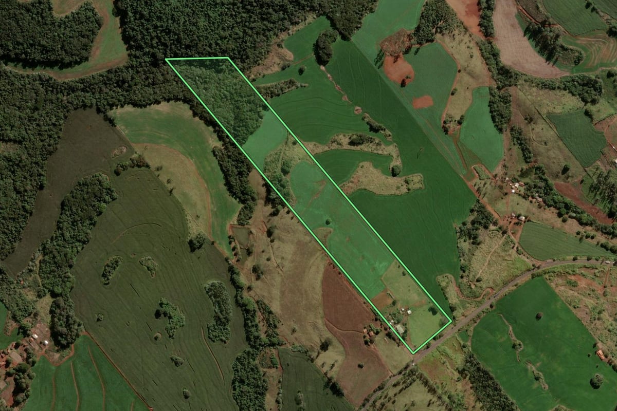 Imagem de satélite do imóvel rural em Apucarana (PR), com o contorno declarado no CAR desenhado por cima.