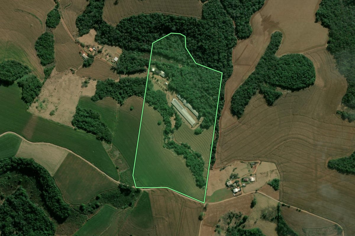 Imagem de satélite do imóvel rural em Apucarana (PR), com o contorno declarado no CAR desenhado por cima.