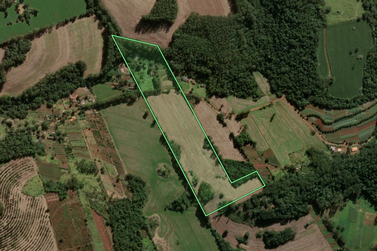 Imagem de satélite do imóvel rural em Apucarana (PR), com o contorno declarado no CAR desenhado por cima.