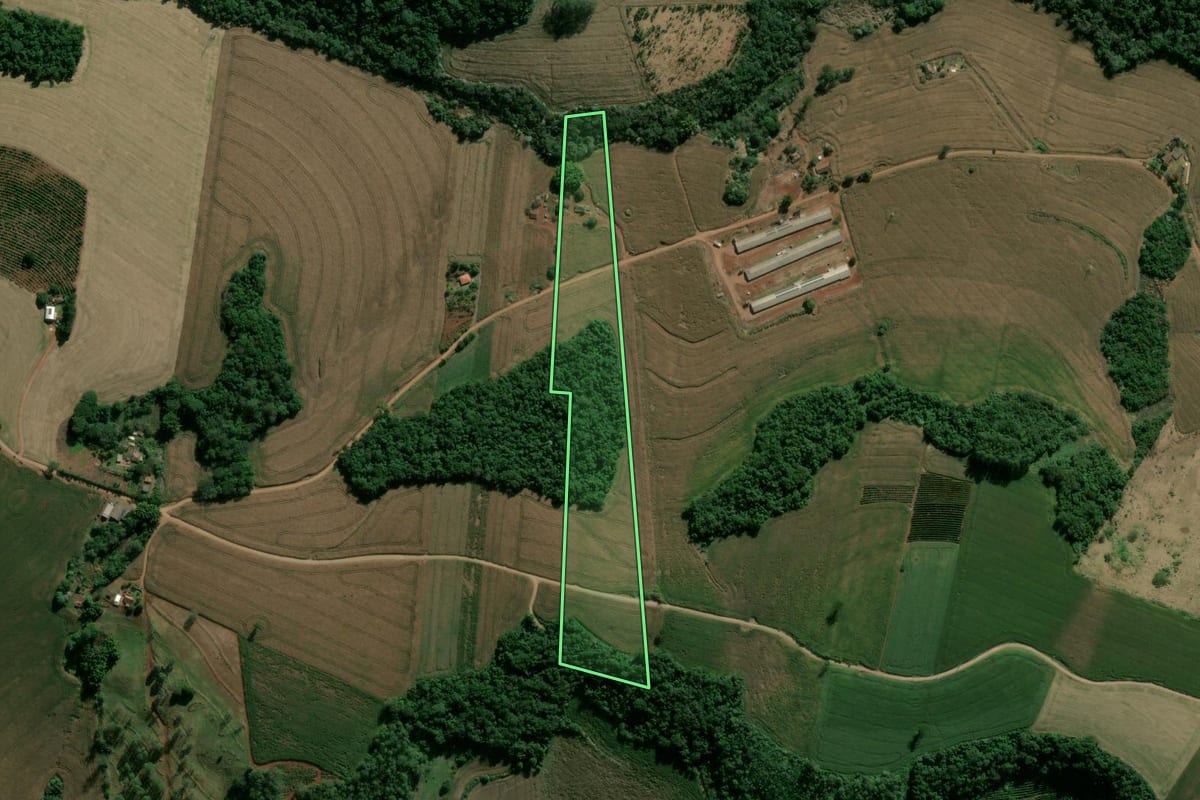 Imagem de satélite do imóvel rural em Apucarana (PR), com o contorno declarado no CAR desenhado por cima.