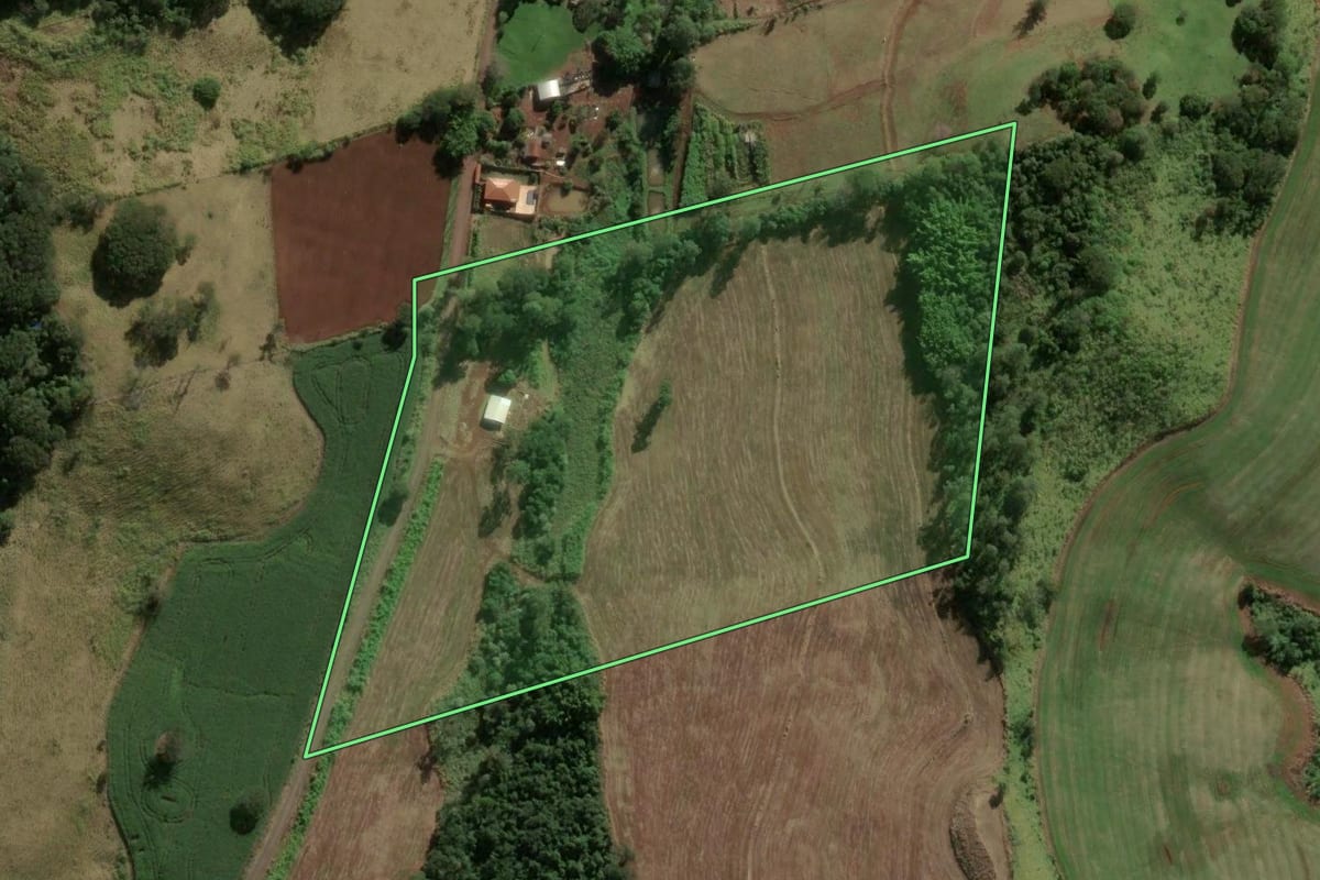 Imagem de satélite do imóvel rural em Apucarana (PR), com o contorno declarado no CAR desenhado por cima.