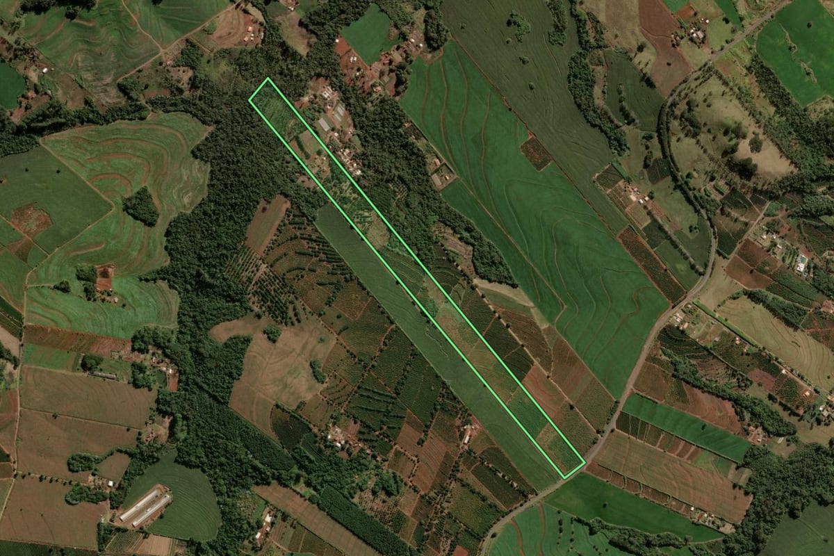 Imagem de satélite do imóvel rural em Apucarana (PR), com o contorno declarado no CAR desenhado por cima.
