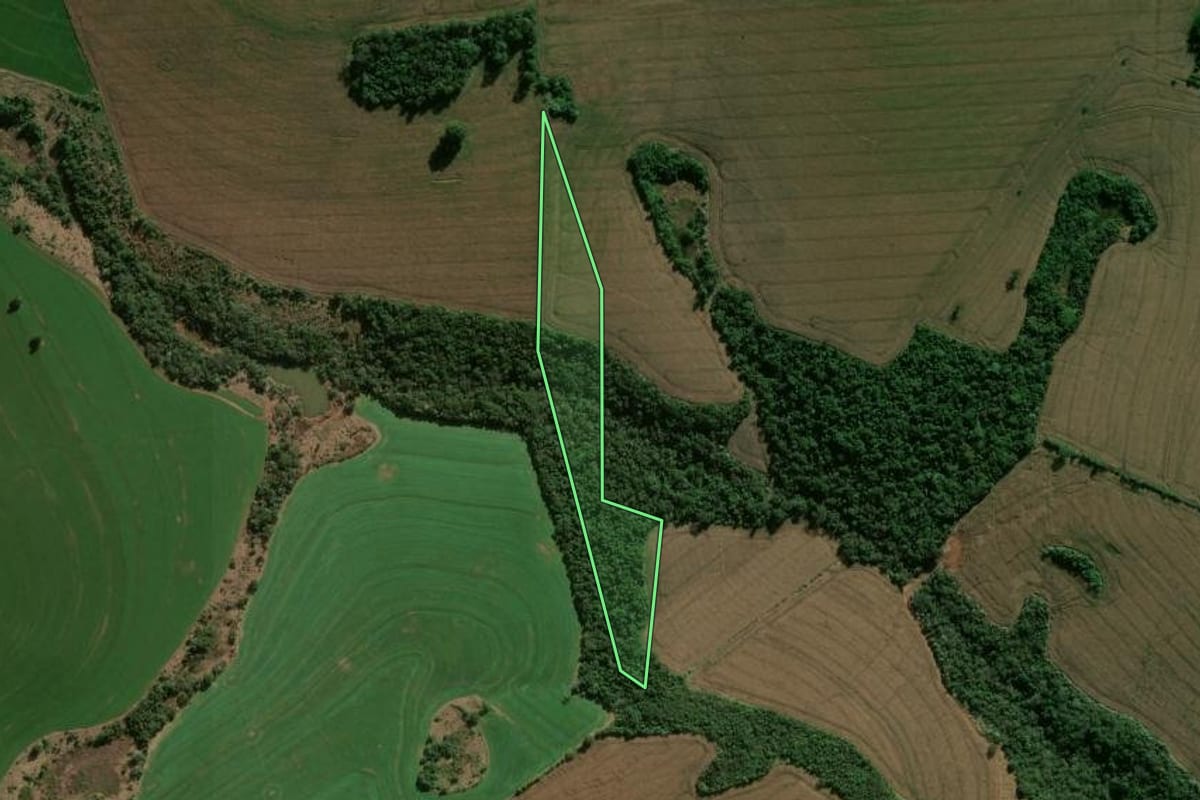 Imagem de satélite do imóvel rural em Apucarana (PR), com o contorno declarado no CAR desenhado por cima.