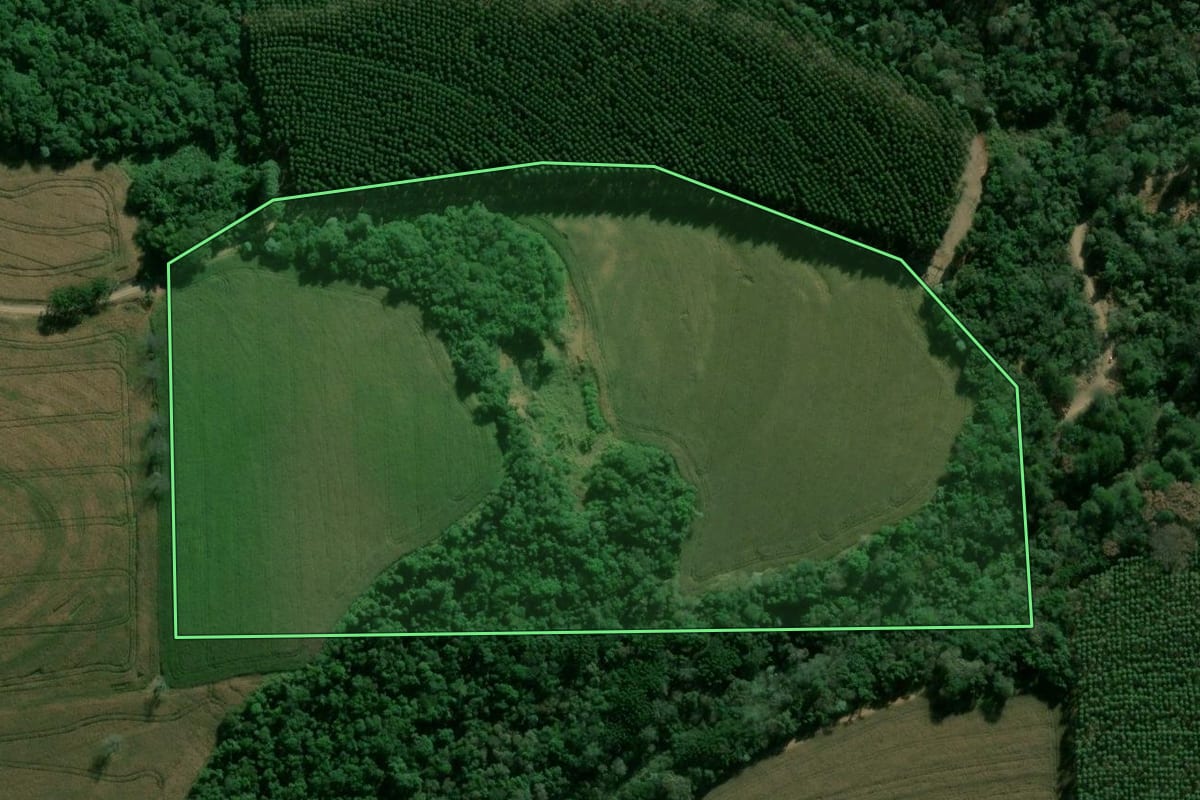 Imagem de satélite do imóvel rural em Apucarana (PR), com o contorno declarado no CAR desenhado por cima.