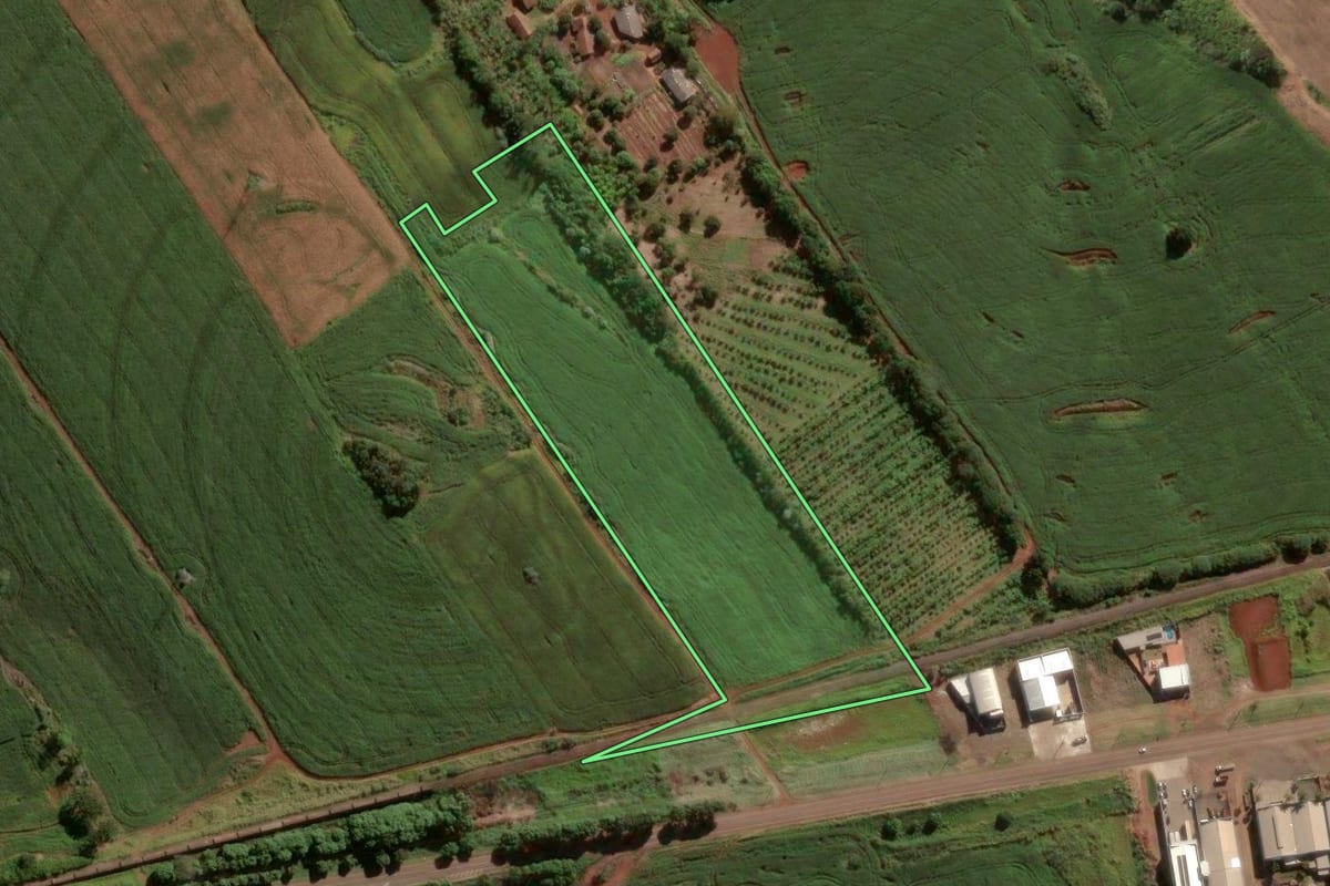 Imagem de satélite do imóvel rural em Apucarana (PR), com o contorno declarado no CAR desenhado por cima.