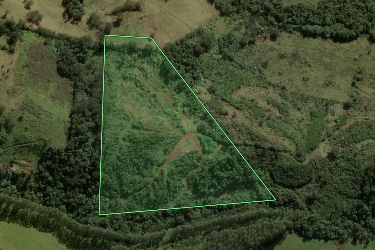 Imagem de satélite do imóvel rural em Apucarana (PR), com o contorno declarado no CAR desenhado por cima.