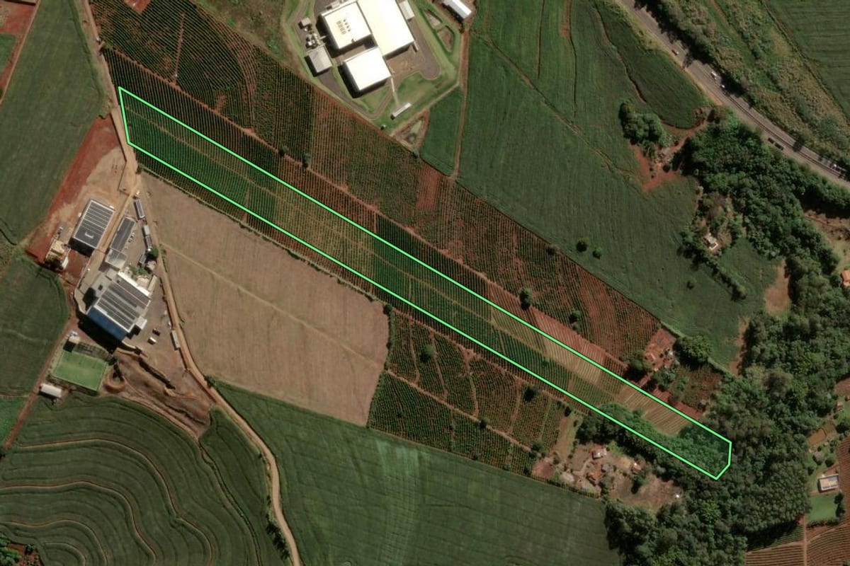 Imagem de satélite do imóvel rural em Apucarana (PR), com o contorno declarado no CAR desenhado por cima.