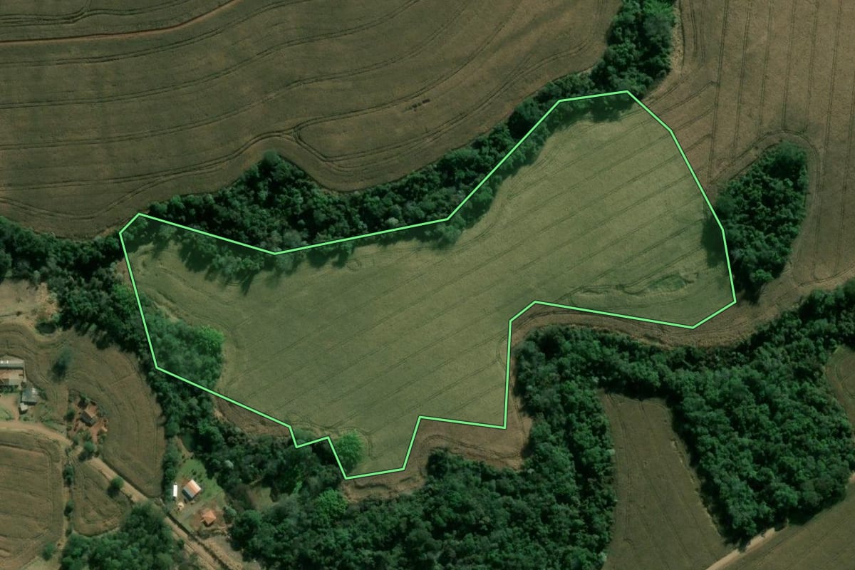 Imagem de satélite do imóvel rural em Apucarana (PR), com o contorno declarado no CAR desenhado por cima.