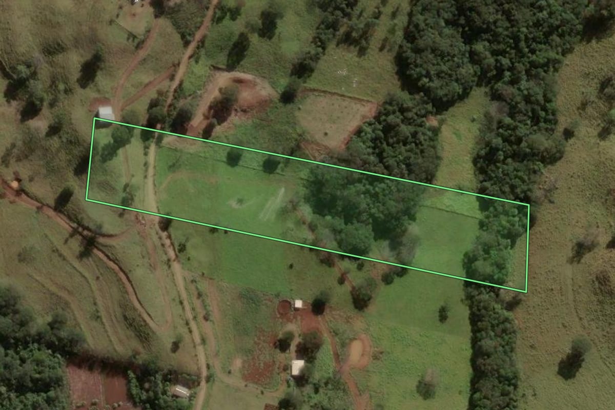 Imagem de satélite do imóvel rural em Apucarana (PR), com o contorno declarado no CAR desenhado por cima.