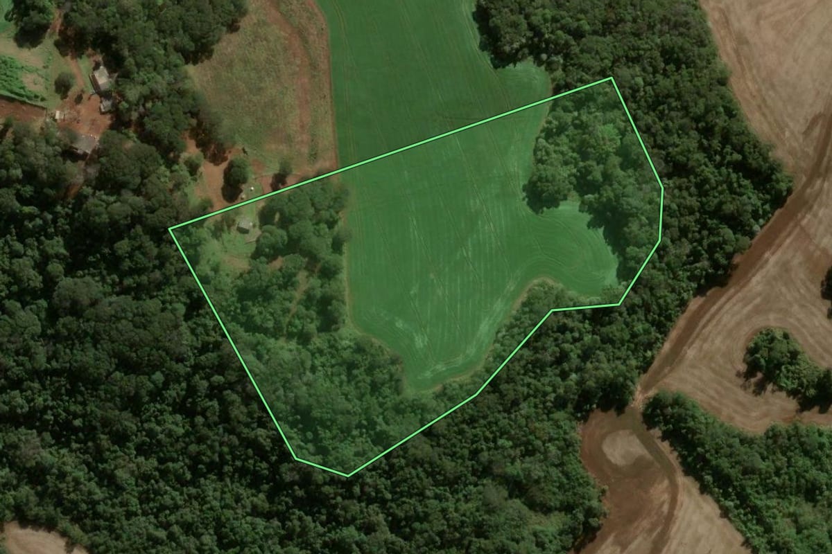 Imagem de satélite do imóvel rural em Apucarana (PR), com o contorno declarado no CAR desenhado por cima.