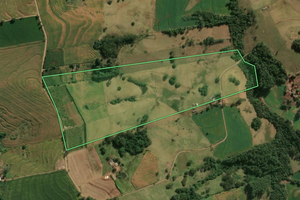 Imagem de satélite do imóvel rural em Apucarana (PR), com o contorno declarado no CAR desenhado por cima.