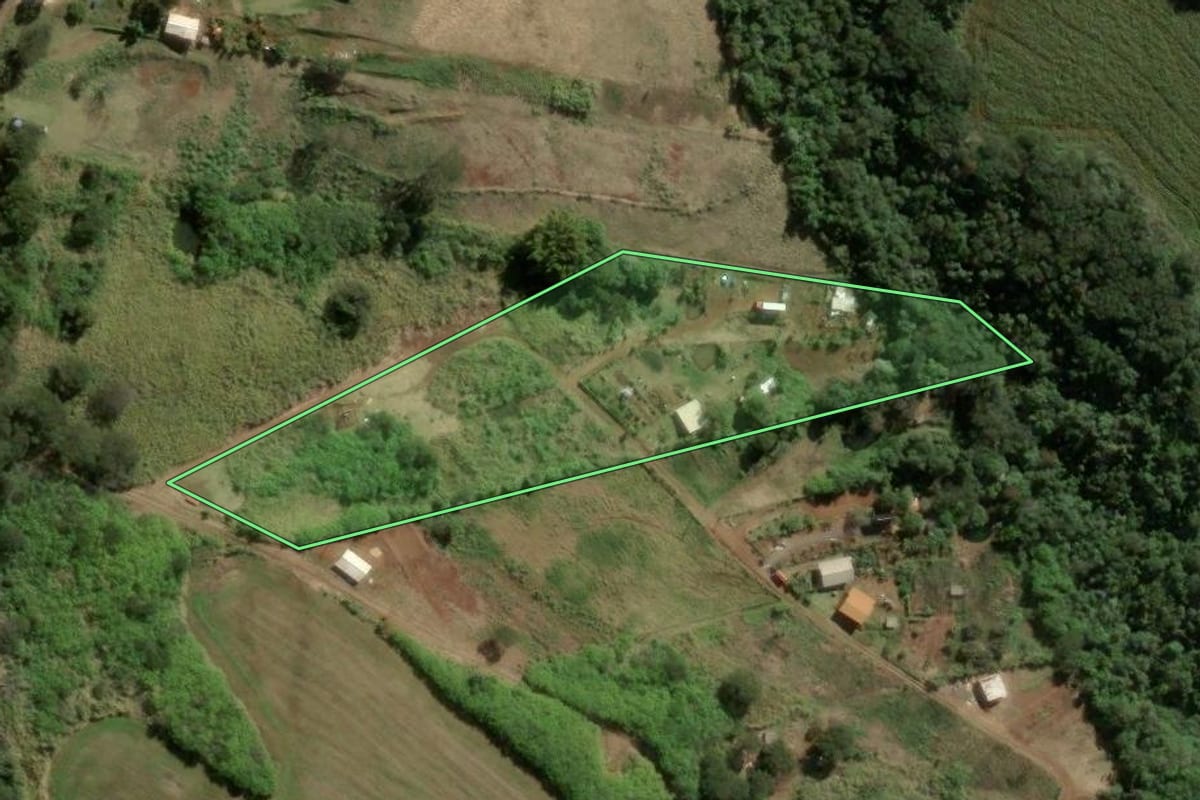 Imagem de satélite do imóvel rural em Apucarana (PR), com o contorno declarado no CAR desenhado por cima.