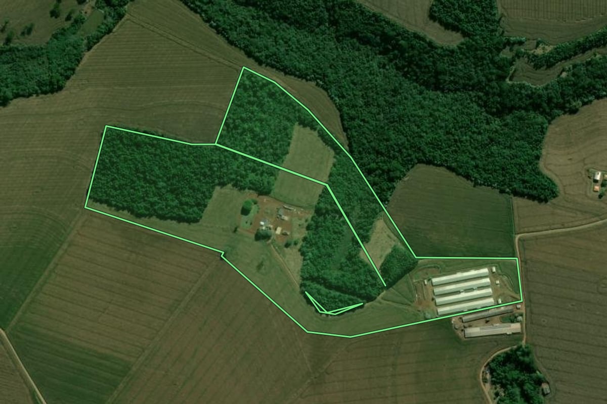 Imagem de satélite do imóvel rural em Apucarana (PR), com o contorno declarado no CAR desenhado por cima.