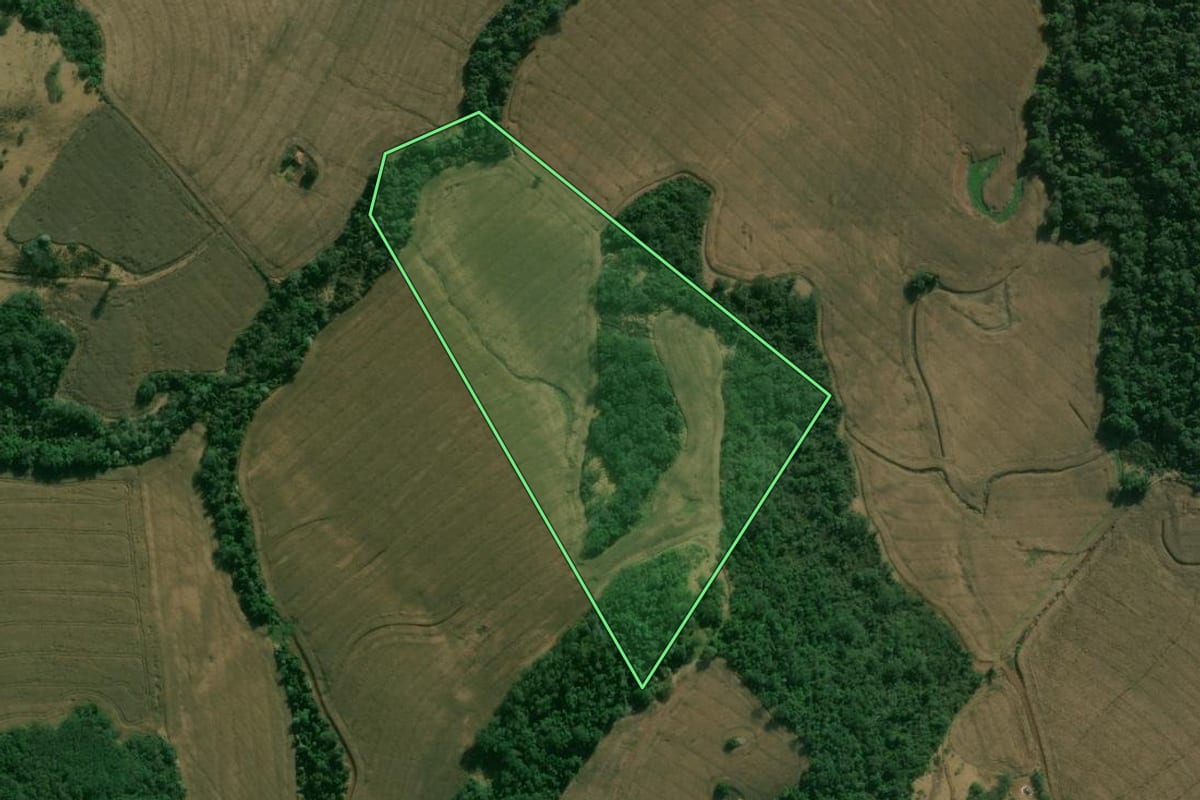 Imagem de satélite do imóvel rural em Apucarana (PR), com o contorno declarado no CAR desenhado por cima.