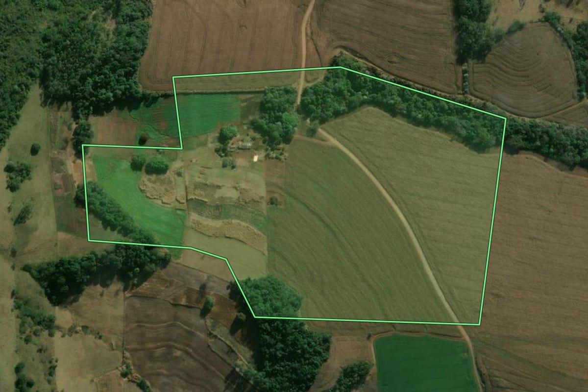 Imagem de satélite do imóvel rural em Apucarana (PR), com o contorno declarado no CAR desenhado por cima.