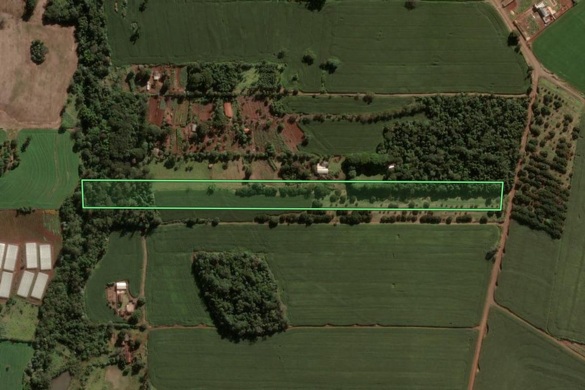 Imagem de satélite do imóvel rural em Apucarana (PR), com o contorno declarado no CAR desenhado por cima.