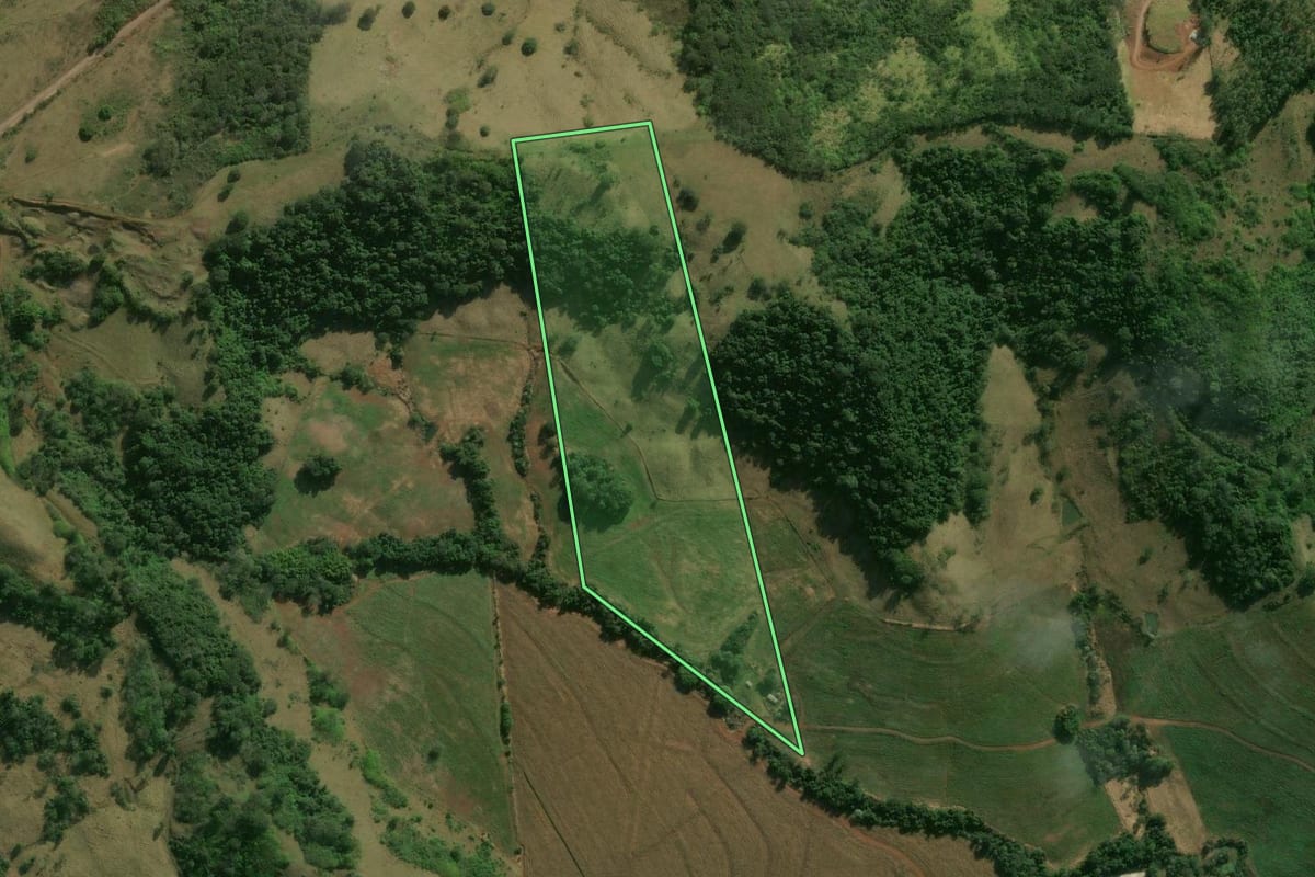 Imagem de satélite do imóvel rural em Apucarana (PR), com o contorno declarado no CAR desenhado por cima.