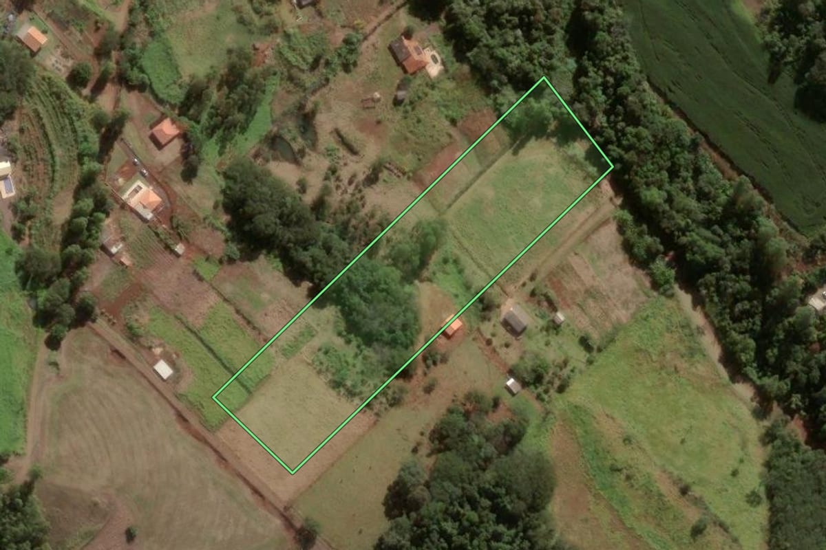 Imagem de satélite do imóvel rural em Apucarana (PR), com o contorno declarado no CAR desenhado por cima.
