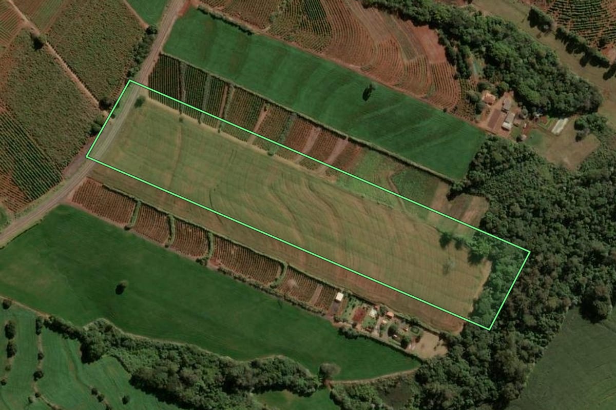 Imagem de satélite do imóvel rural em Apucarana (PR), com o contorno declarado no CAR desenhado por cima.