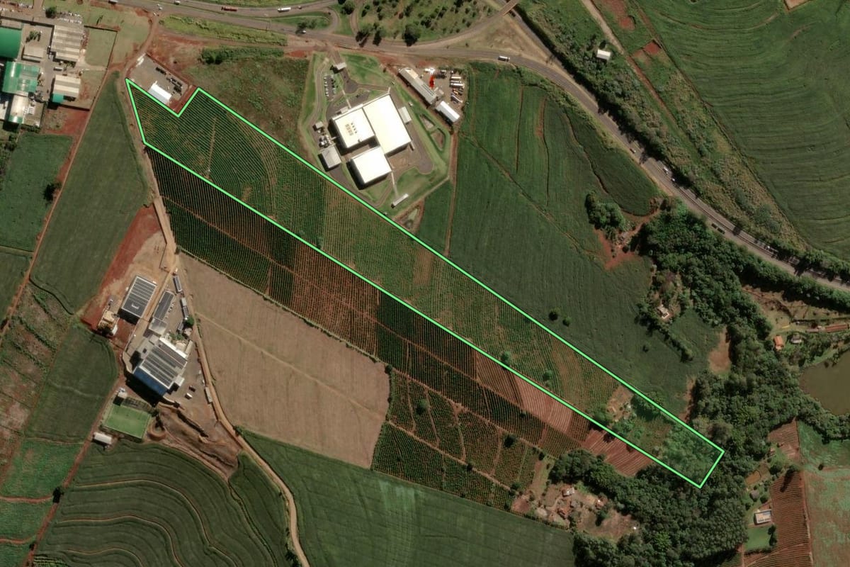 Imagem de satélite do imóvel rural em Apucarana (PR), com o contorno declarado no CAR desenhado por cima.